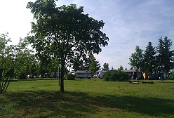 náhodná fotka